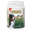 Foto PrimeVal ColonFlora� hond 